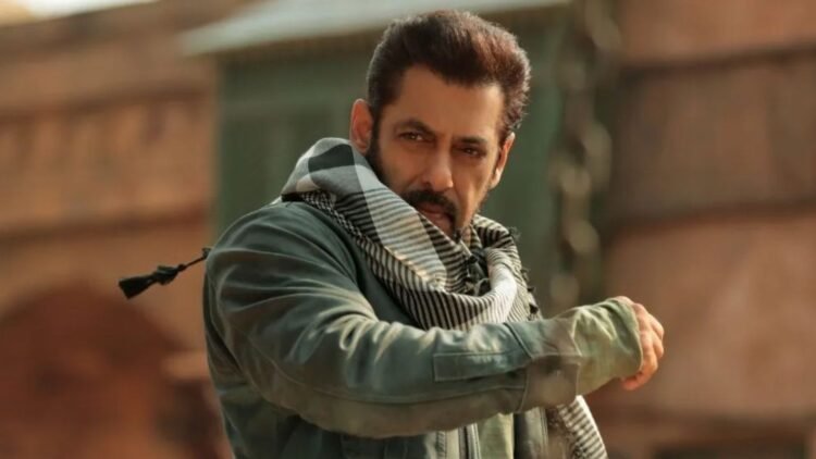 আরবভিত্তিক অ্যাকশন থ্রিলার ‘সেভেন ডগস’-এ সালমান খান