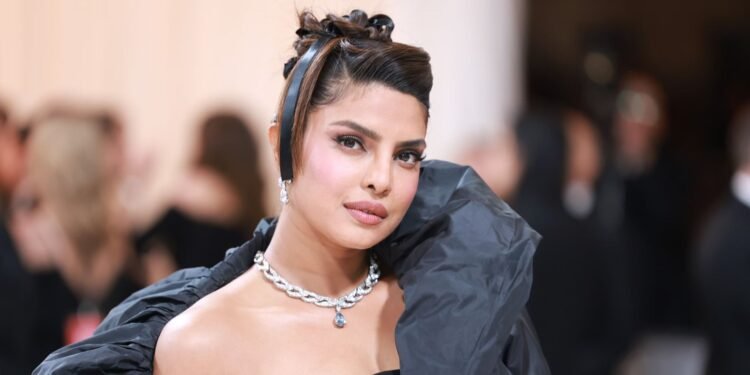 হলিউডে আরও বড় স্বপ্নের পথে প্রিয়াঙ্কা