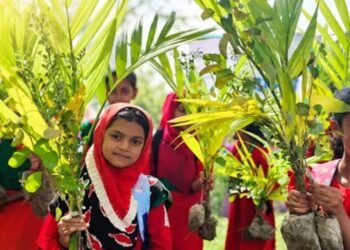 শিক্ষাপ্রতিষ্ঠানে ‘ওয়ান চাইল্ড, ওয়ান ট্রি’ মেগা প্রকল্পের উদ্বোধন আজ