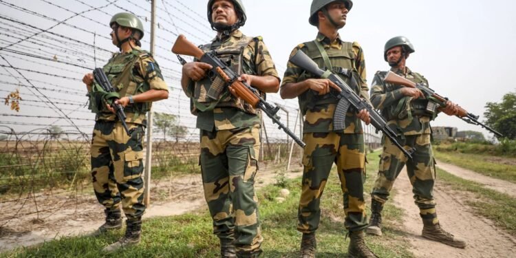 বাংলাদেশি যুবককে ধরে নিয়ে গেল বিএসএফ