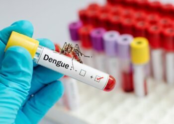 ২৪ ঘণ্টায় ডেঙ্গুতে মৃত্যু ৫, আক্রান্ত ১২৪