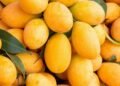 বাজার থেকে মিষ্টি ও রসালো আম চেনার সহজ উপায়