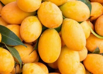 বাজার থেকে মিষ্টি ও রসালো আম চেনার সহজ উপায়