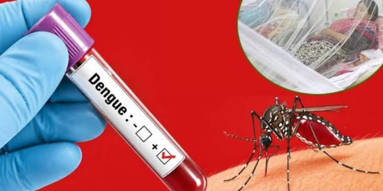 ডেঙ্গু নিয়ন্ত্রণে রাসায়নিক নয়, জনগণের অংশগ্রহণই সবচেয়ে কার্যকর: ডিএসসিসি