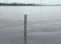 নীলফামারীতে তিস্তার পানি বিপৎসীমা ছুঁইছুঁই