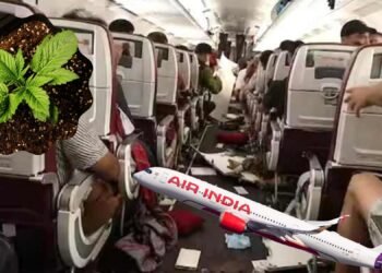 পাইলটের গাঁজা সেবন: এয়ার ইন্ডিয়ার ফ্লাইটে দুর্ঘটনা
