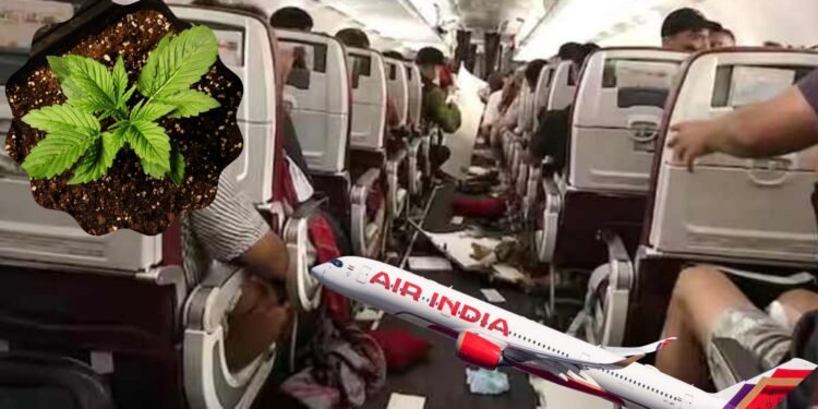 পাইলটের গাঁজা সেবন: এয়ার ইন্ডিয়ার ফ্লাইটে দুর্ঘটনা
