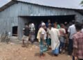 ভূরুঙ্গামারীতে আমন মৌসুমে সারের তীব্র সংকট, গুদাম ভেঙে সার নিলেন কৃষকরা