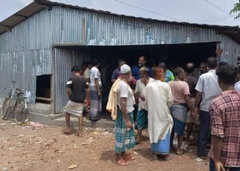 ভূরুঙ্গামারীতে আমন মৌসুমে সারের তীব্র সংকট, গুদাম ভেঙে সার নিলেন কৃষকরা
