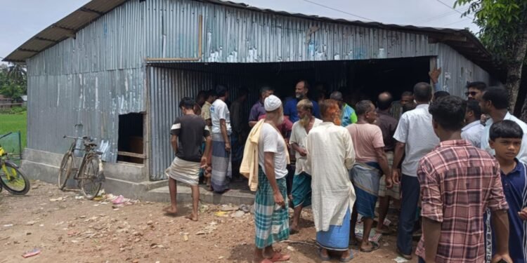 ভূরুঙ্গামারীতে আমন মৌসুমে সারের তীব্র সংকট, গুদাম ভেঙে সার নিলেন কৃষকরা