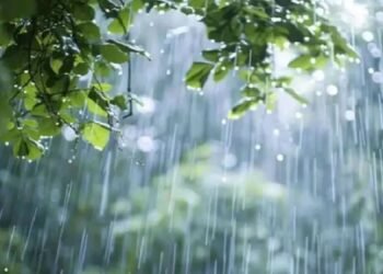 লঘুচাপের প্রভাবে দেশের আট বিভাগেই বৃষ্টির পূর্বাভাস