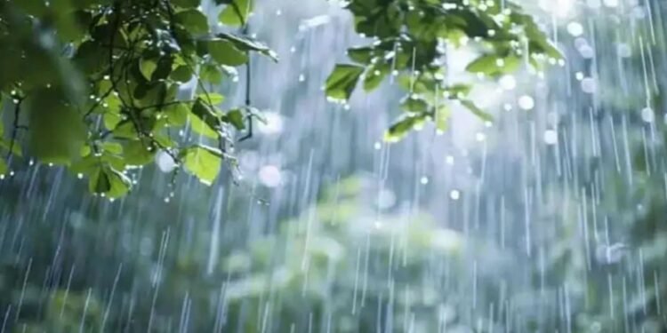 লঘুচাপের প্রভাবে দেশের আট বিভাগেই বৃষ্টির পূর্বাভাস