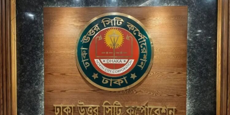 দেড় হাজার কর্মী নিয়ে এডিস মশা নিধনে নামছে ডিএনসিসি