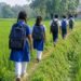 আজ থেকে স্বাভাবিক শিক্ষা কার্যক্রম: ক্লাসে ফিরল লাখো শিক্ষার্থী