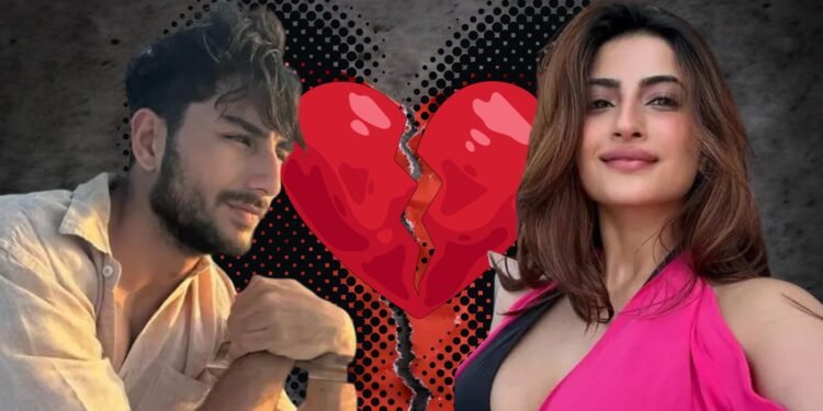 তিন বছরের প্রেমের ইতি, আলাদা হচ্ছেন ইব্রাহিম-পলক